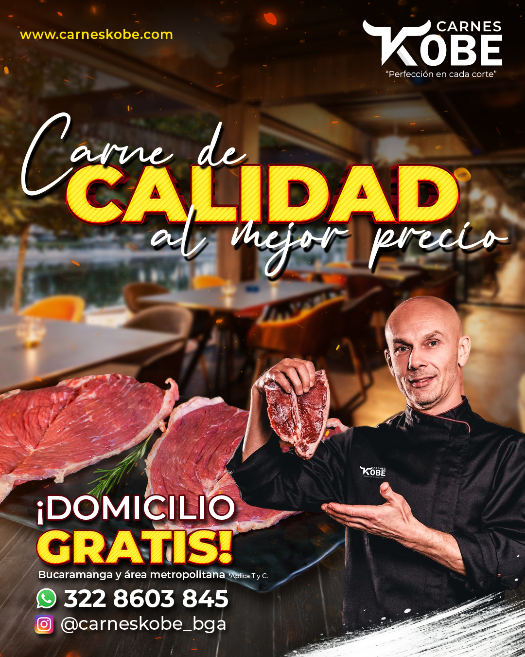 PAUTA CARNE DE CALIDAD